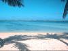 The Outer Reef