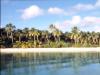 Tropical Beach